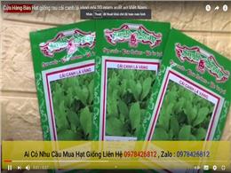 Cửa Hàng Bán Hạt giống rau cải canh lá vàng gói 20 gram xuất xứ Việt Nam