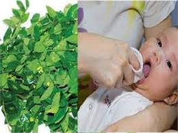 Cách chữa trị chứng tưa lưỡi cho trẻ sơ sinh an toàn nhất
