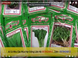 Cửa hàng bán hạt giống rau sạch, hạt giống hoa tại Hà Nội ai có nhu cầu mua hạt giống liên hệ